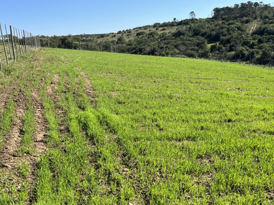 Commercial Property for Sale in Bathurst Rural Eastern Cape